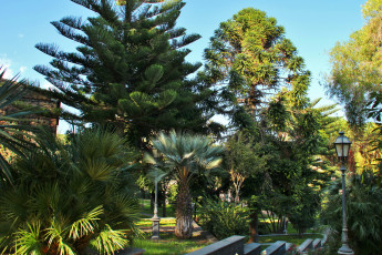 Картинка италия сицилия viagrande природа парк