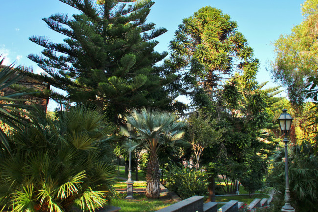 Обои картинки фото италия, сицилия, viagrande, природа, парк