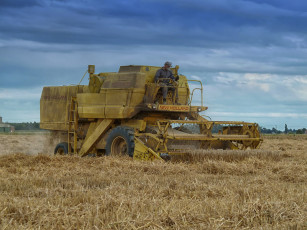 Картинка техника комбайны комбайн поле