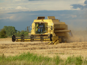 Картинка техника комбайны комбайн поле