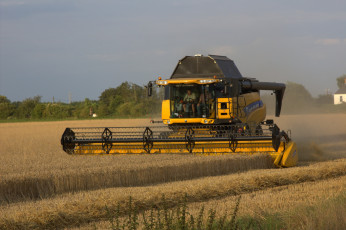 Картинка техника комбайны комбайн поле