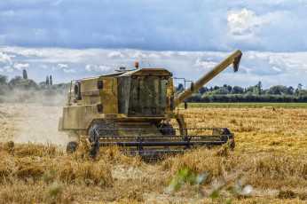 Картинка техника комбайны поле комбайн