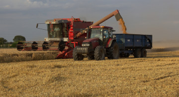 обоя техника, комбайны, комбайн, поле