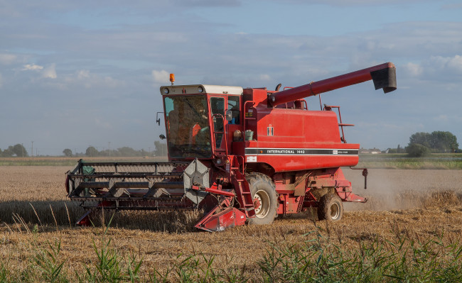 Обои картинки фото техника, комбайны, комбайн, поле