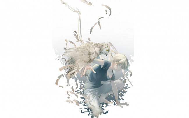 Обои картинки фото аниме, -animals & creatures, перья, сова, птица, парень, re, art