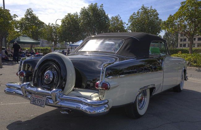Обои картинки фото 1954 packard carribean, автомобили, выставки и уличные фото, выставка, автошоу