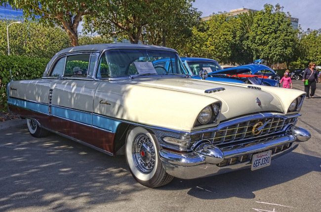 Обои картинки фото 1956 packard caribbean, автомобили, выставки и уличные фото, автошоу, выставка