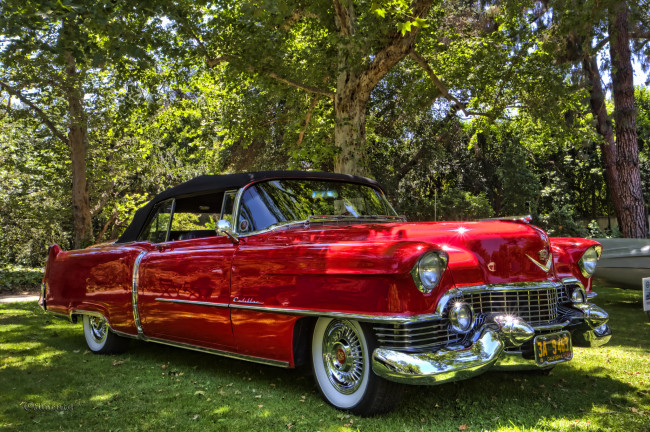 Обои картинки фото 1954 cadillac series 62 convertible, автомобили, выставки и уличные фото, выставка, автошоу