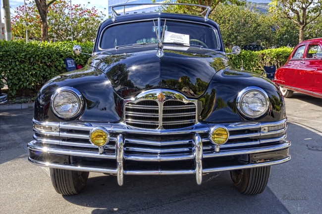 Обои картинки фото 1949 packard super eight limousine, автомобили, выставки и уличные фото, автошоу, выставка