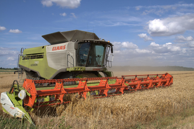 Обои картинки фото техника, комбайны, комбайн, поле