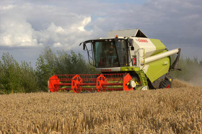 Обои картинки фото техника, комбайны, комбайн, поле