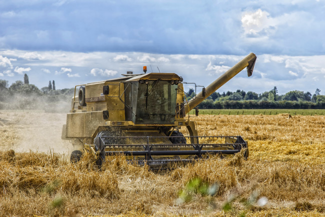 Обои картинки фото техника, комбайны, поле, комбайн