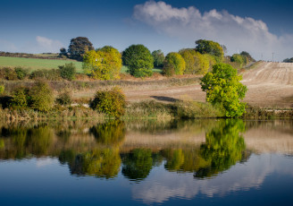 Картинка природа реки озера река лес