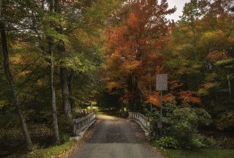 Картинка природа дороги тракт