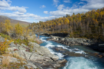 Картинка природа реки озера река лес