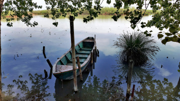 Картинка корабли лодки +шлюпки река лес