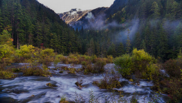 Картинка природа реки озера река лес