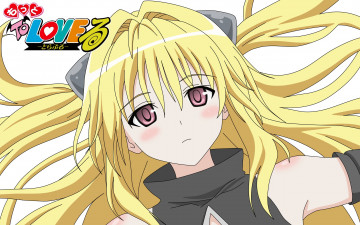 Картинка аниме to+love+ru фон взгляд девушка