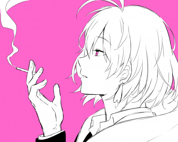 Обои картинки фото аниме, servamp, snow, lily