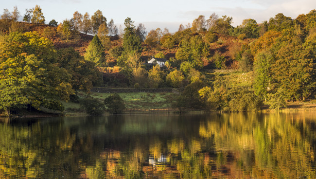 Обои картинки фото природа, реки, озера, лес, река