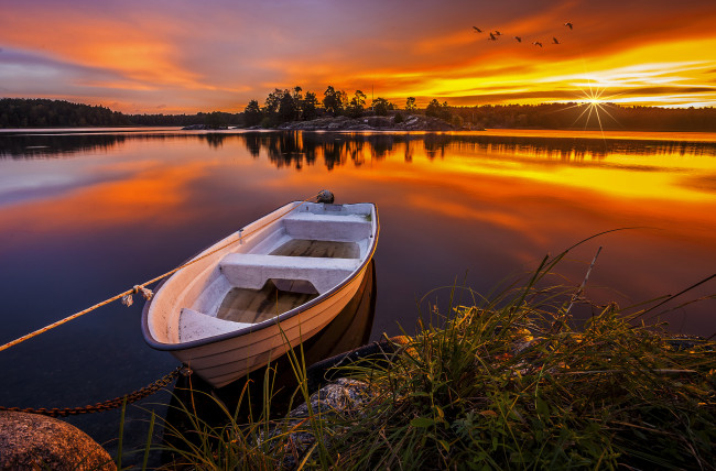 Обои картинки фото корабли, лодки,  шлюпки, лес, река