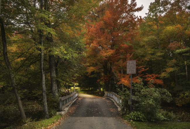 Обои картинки фото природа, дороги, тракт