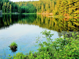 Картинка природа реки озера осень река отражение