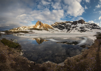 Картинка природа реки озера пейзаж горы снег озеро цветы крокусы
