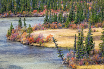 Картинка природа реки озера простор