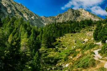 Картинка природа горы простор