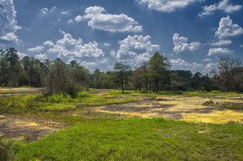 Картинка природа пейзажи простор