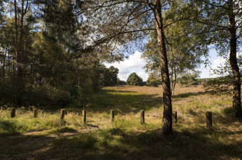 Картинка природа пейзажи простор