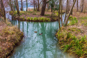 Картинка природа реки озера простор