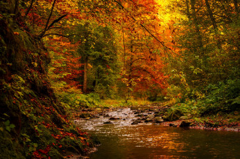 Картинка природа реки озера простор