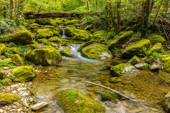 Картинка природа реки озера простор