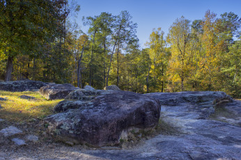 Картинка природа реки озера простор