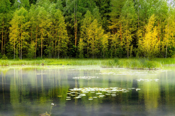 Картинка природа реки озера простор