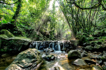 Картинка природа водопады лес деревья река водопад камни поток