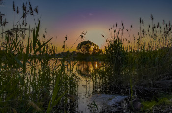 Картинка природа реки озера простор