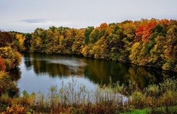 Картинка природа реки озера простор