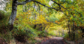 Картинка природа дороги простор