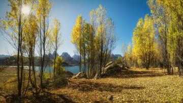 Картинка природа пейзажи простор