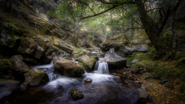 Картинка природа реки озера простор