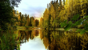 Картинка природа реки озера простор