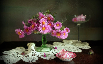 Картинка цветы астры композиция