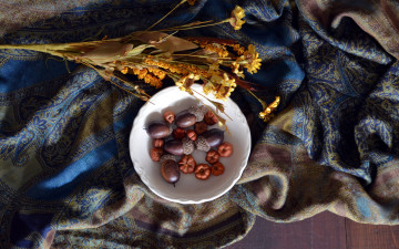 Картинка природа шишки +жёлуди +каштаны желуди