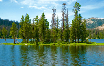 Картинка природа реки озера простор