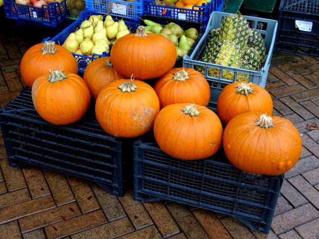 Обои картинки фото еда, фрукты и овощи вместе, ананас, тыква, груши