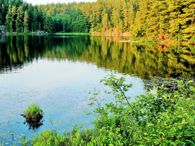 Обои картинки фото природа, реки, озера, осень, река, отражение