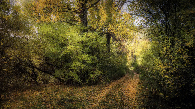 Обои картинки фото природа, дороги, простор